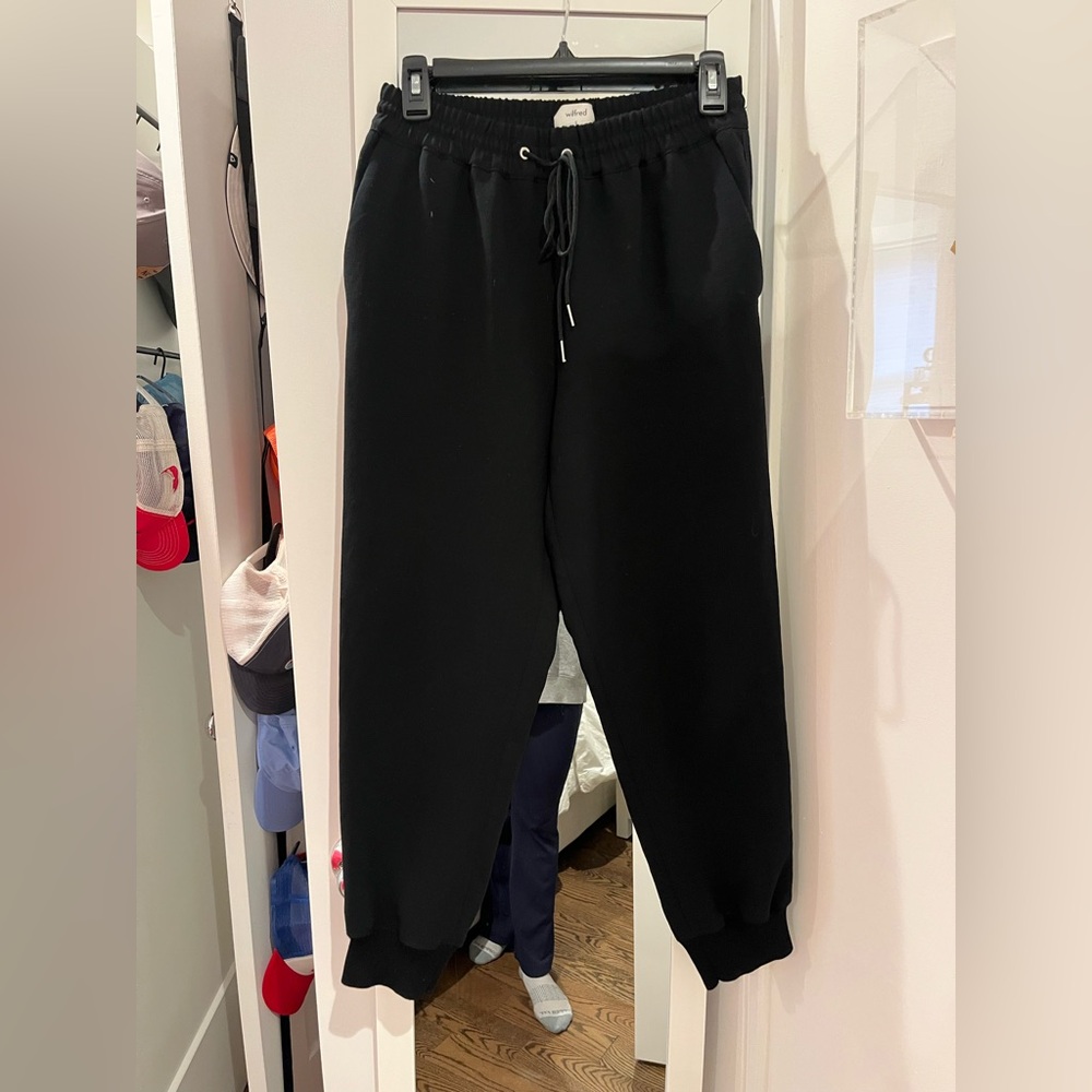 Aritzia wilfred joggers (not sweatpants)
